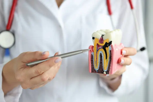 The Silent Culprits: Common Habits That Damage Your Teeth Chelmsford